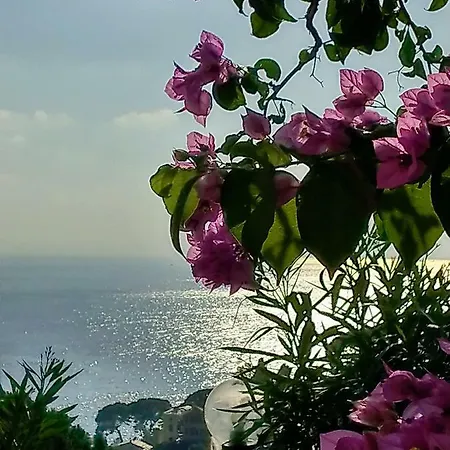 Villino Brunetto Azienda Agrituristica * Camogli