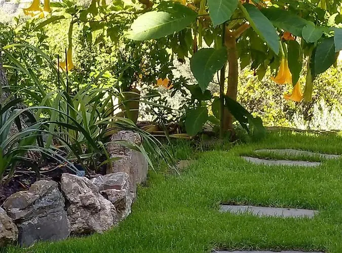 Villino Brunetto Azienda Agrituristica 度假居 *